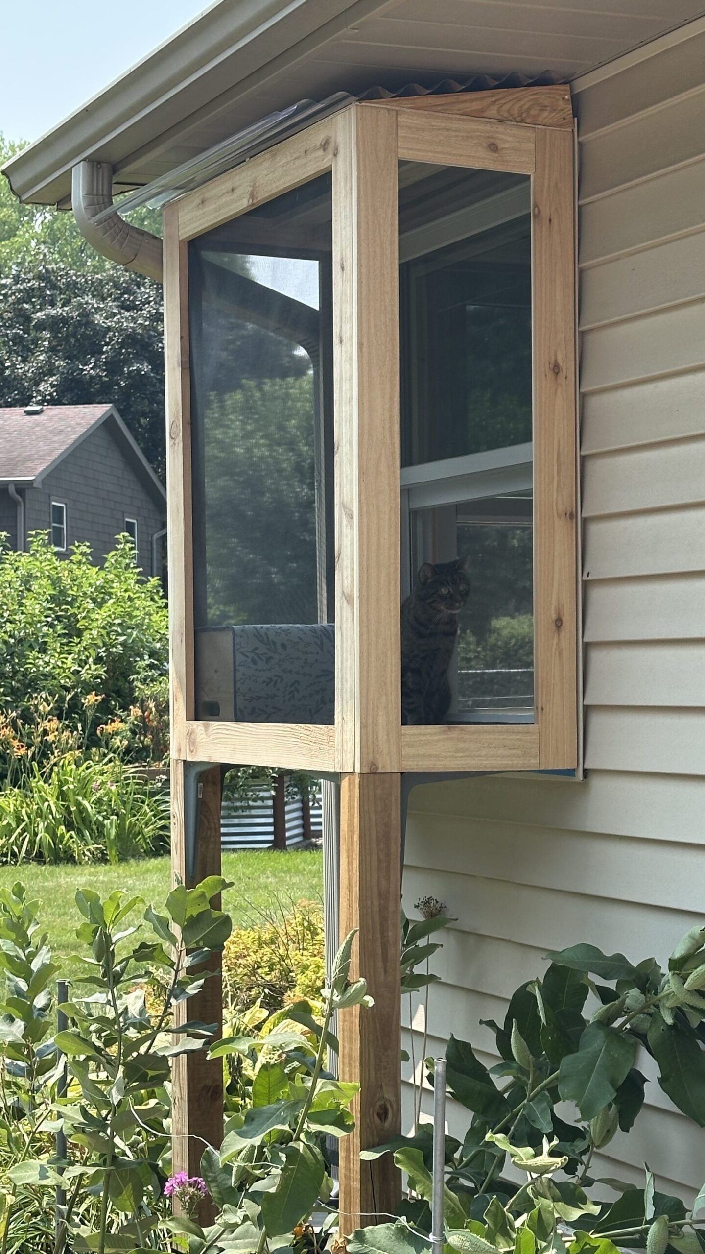 catio