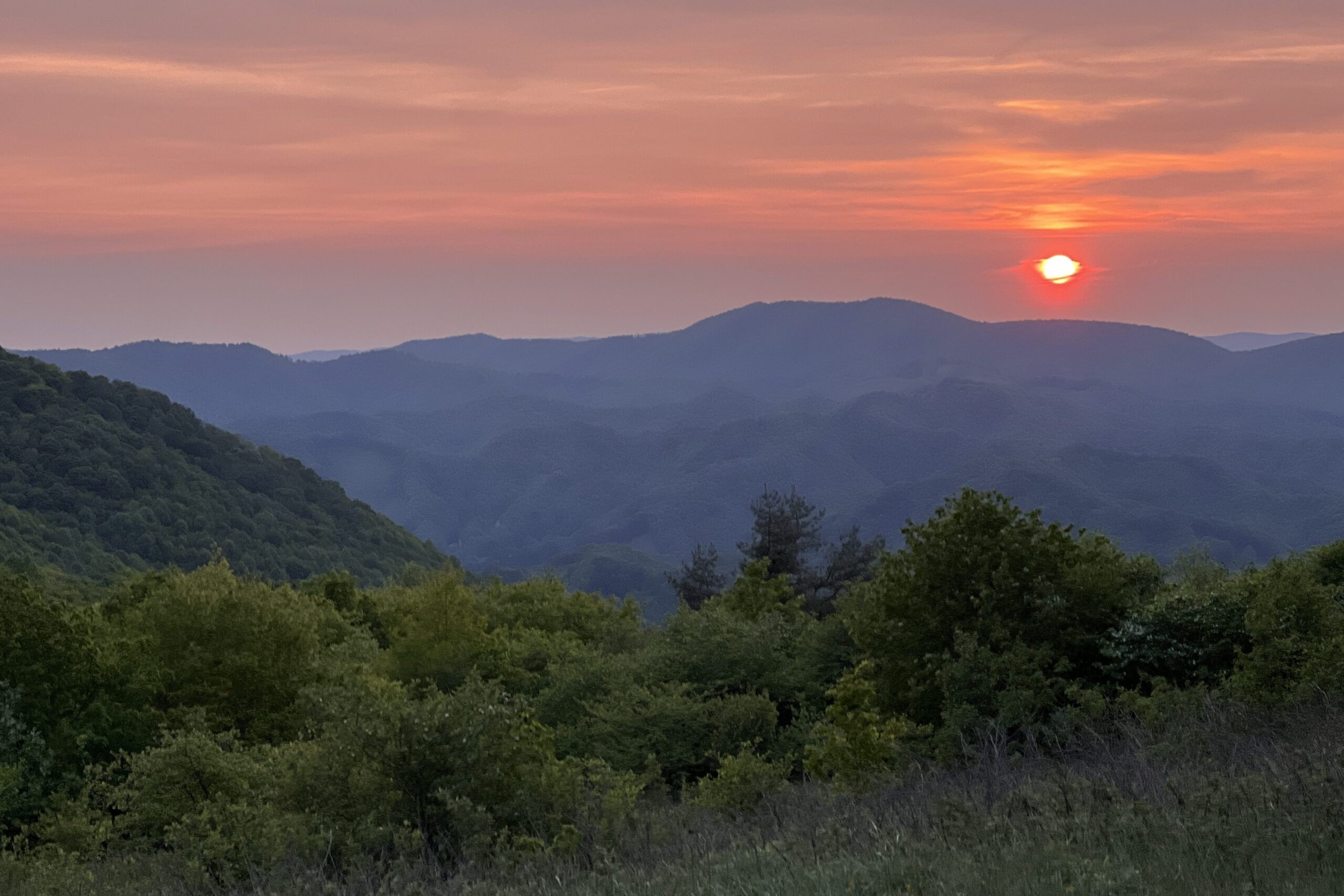 A forest backgrounded by distant mountains, with the sun setting above.