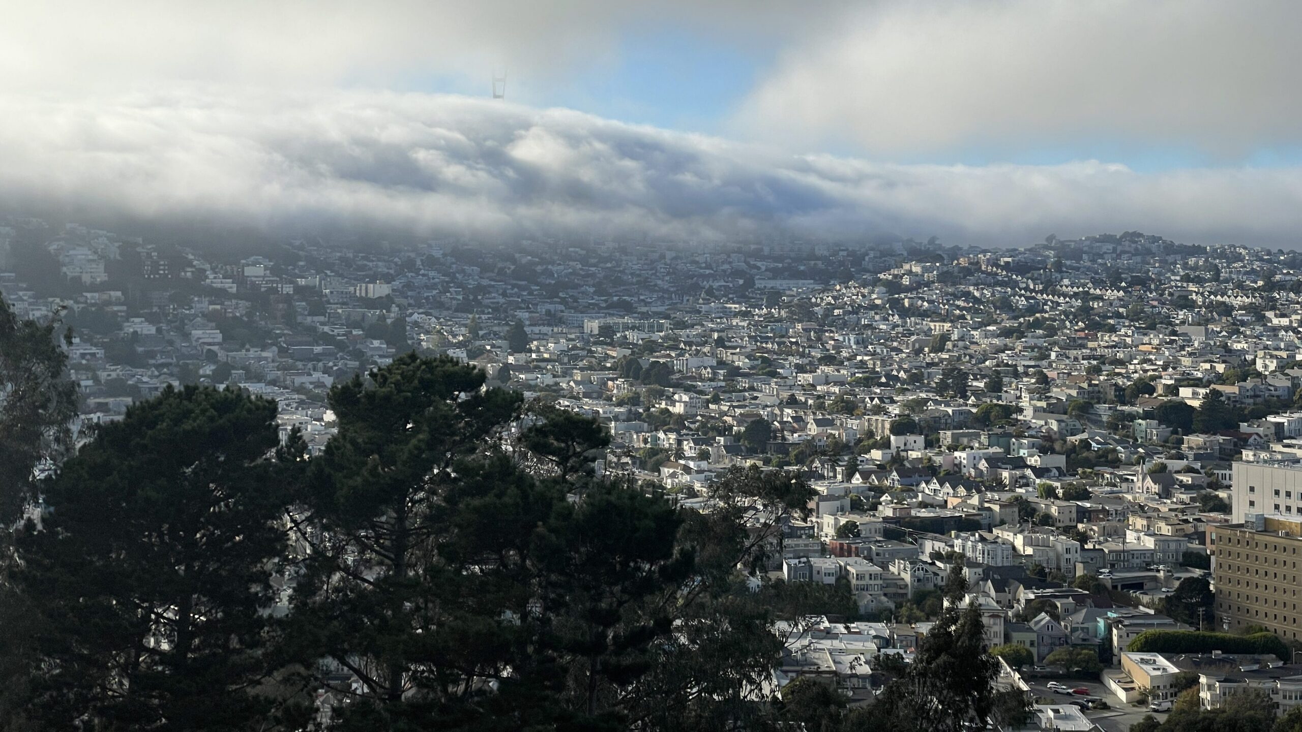 The sprawl of San Francisco, as seen from a hilltop.