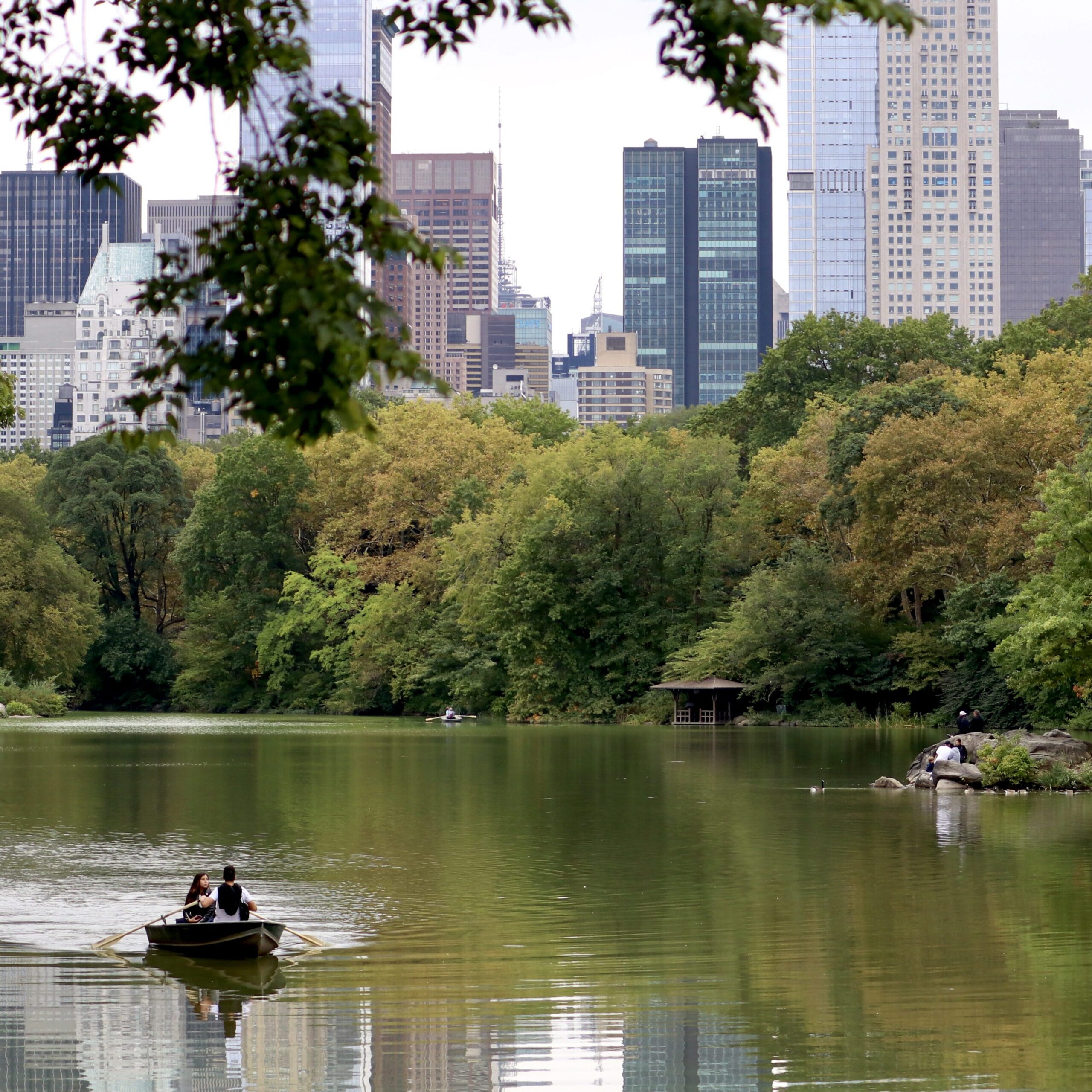 People row boats through a lake backgrounded by trees and skyscrapers.