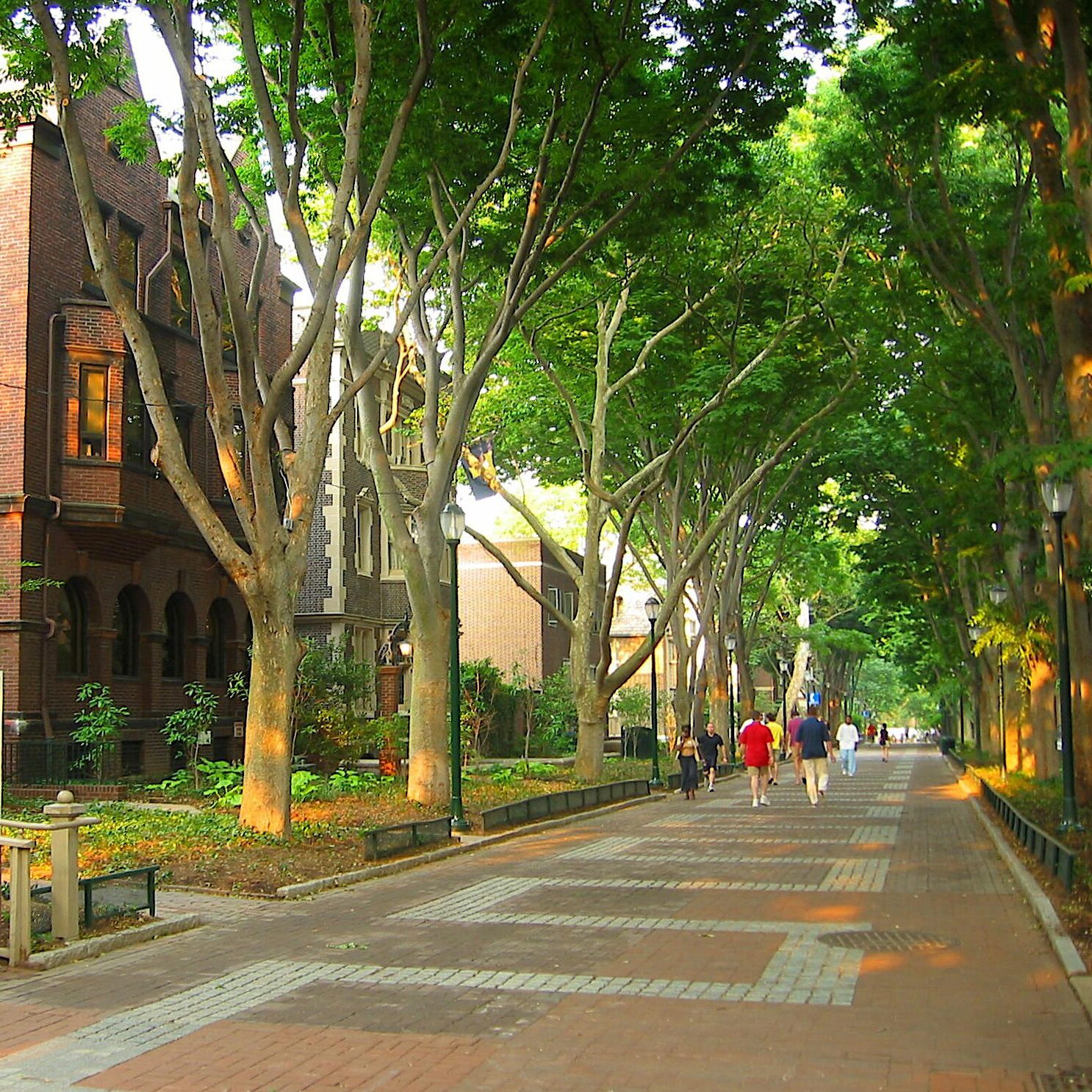 People walk down a brick street surrounded by trees.