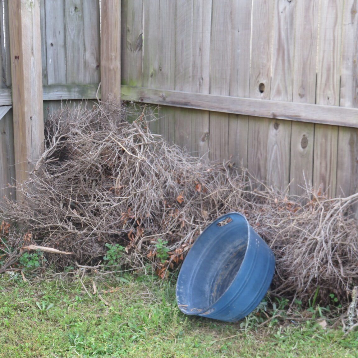 A pile of thin sticks is pushed against a fence.