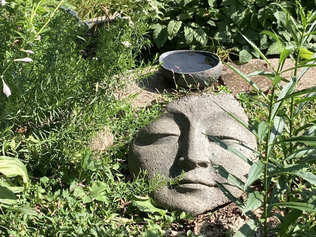 Garden plants grow around a sculpture of a stone face embedded in the ground. A birdbath sits beside the face.