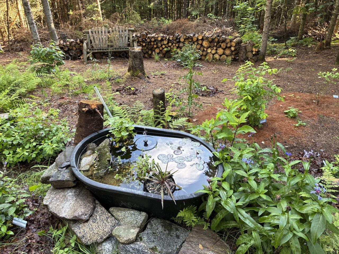 A garden features a small pond with aquatic vegetation. In the background, log piles and brush piles are stored.