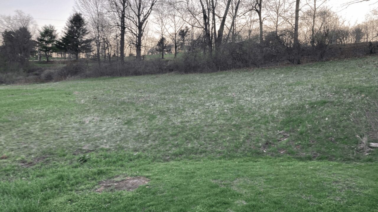 A large, closely-cut, grassy lawn.
