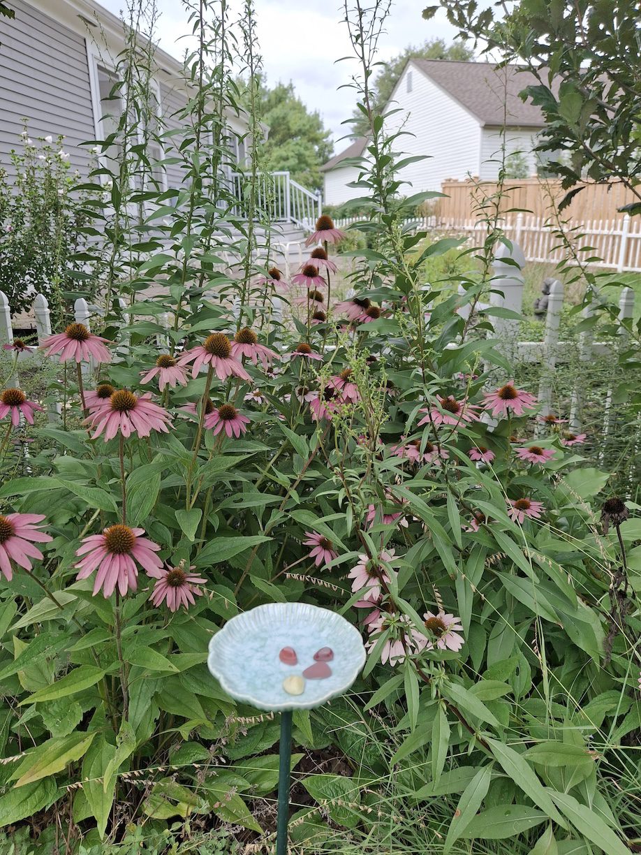 flowers and bird bath