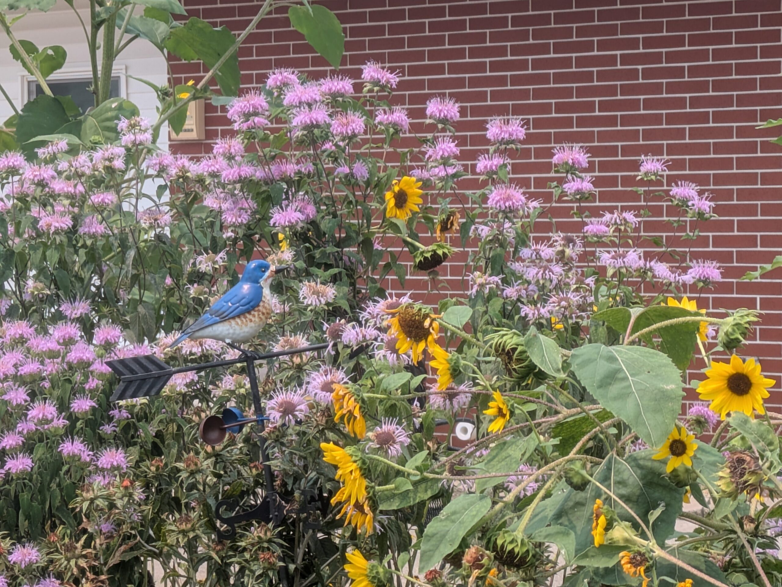 art in garden