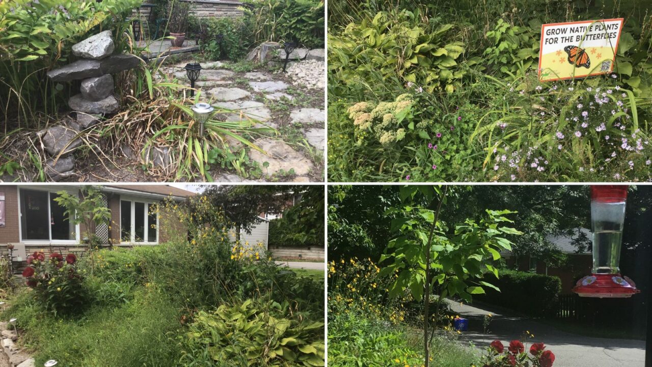 collage of gardens