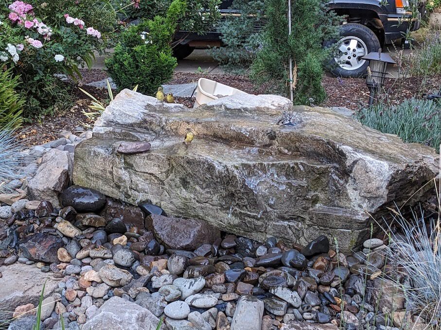 A bubbler runs water over a large rock, on which several birds are perched.