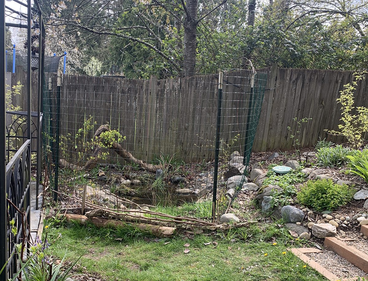 new garden