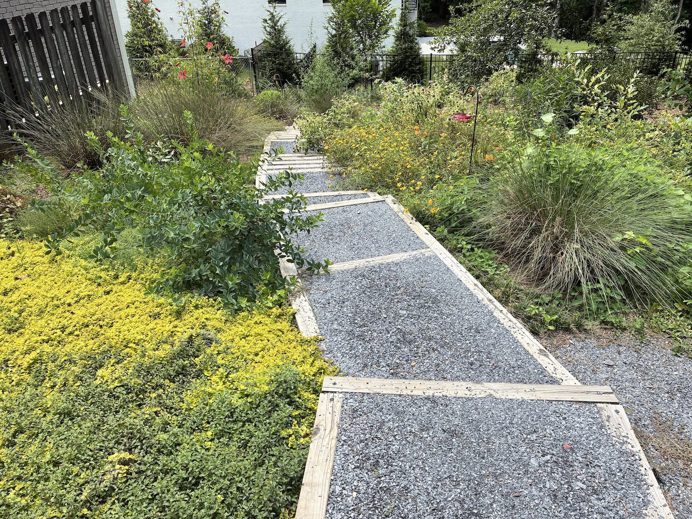 native steps in garden