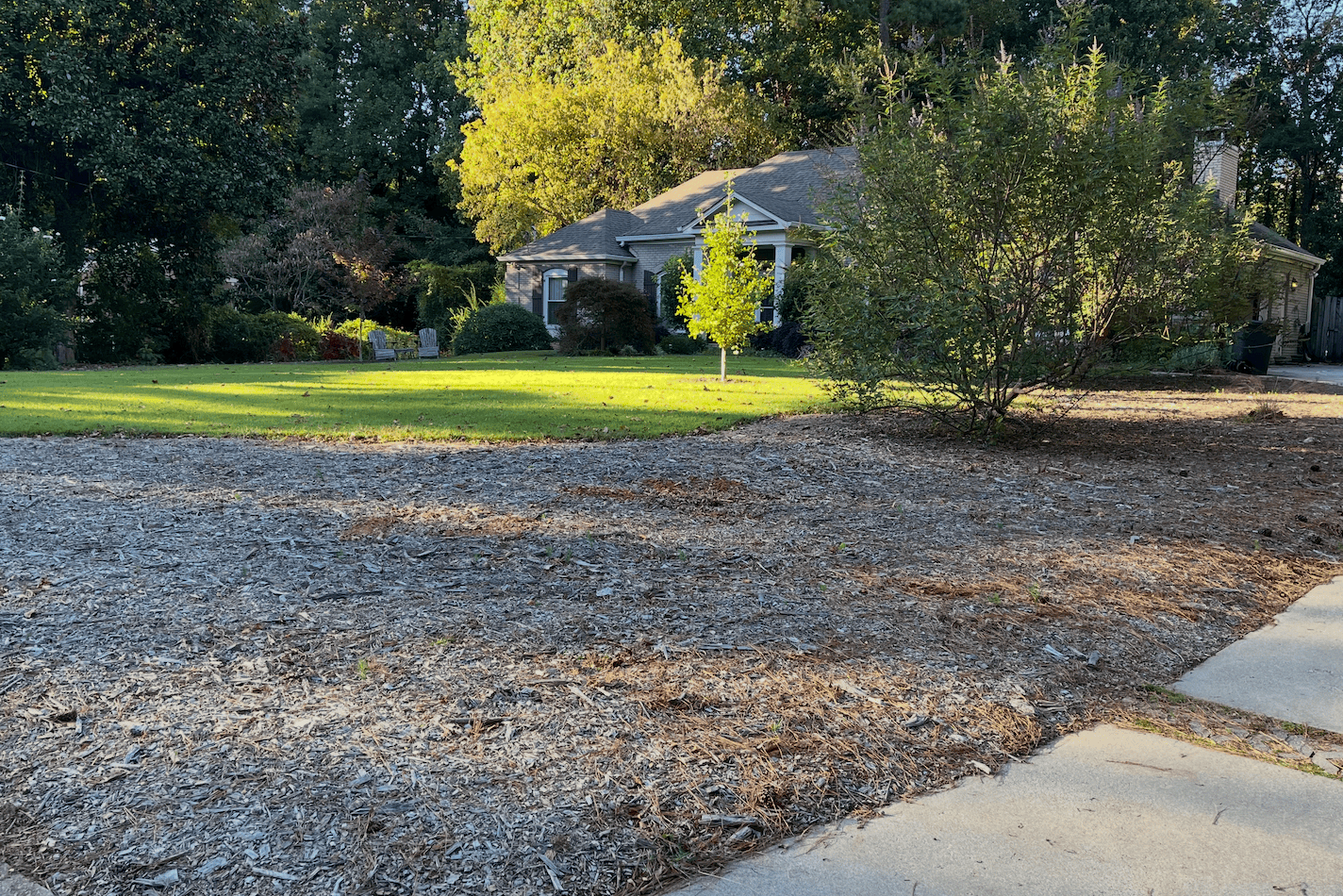 front yard mulched