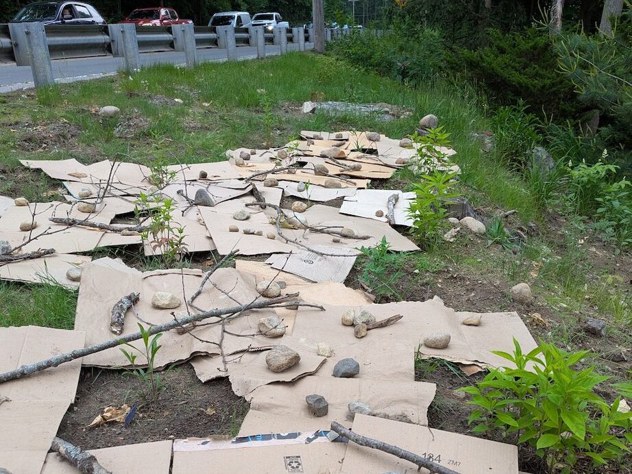 cardboard on side of road