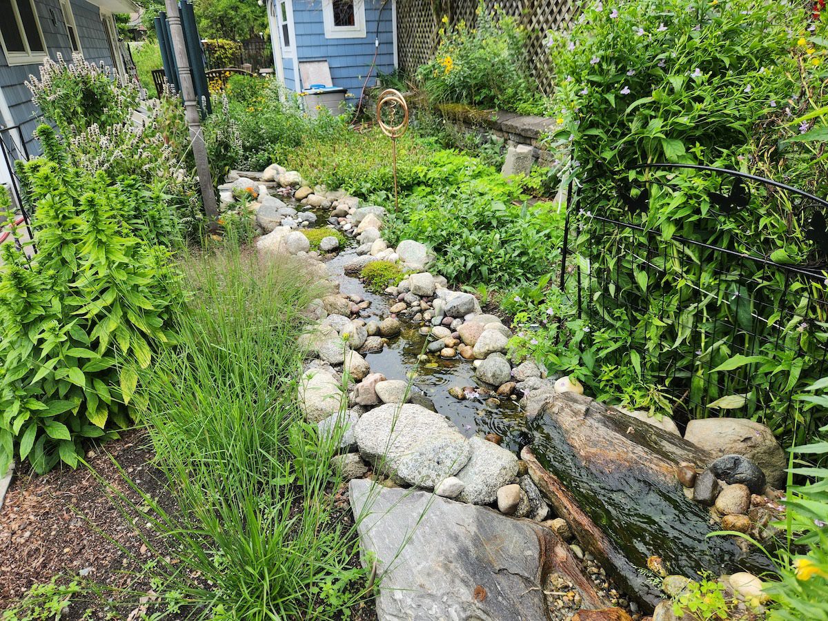 water feature in old pool