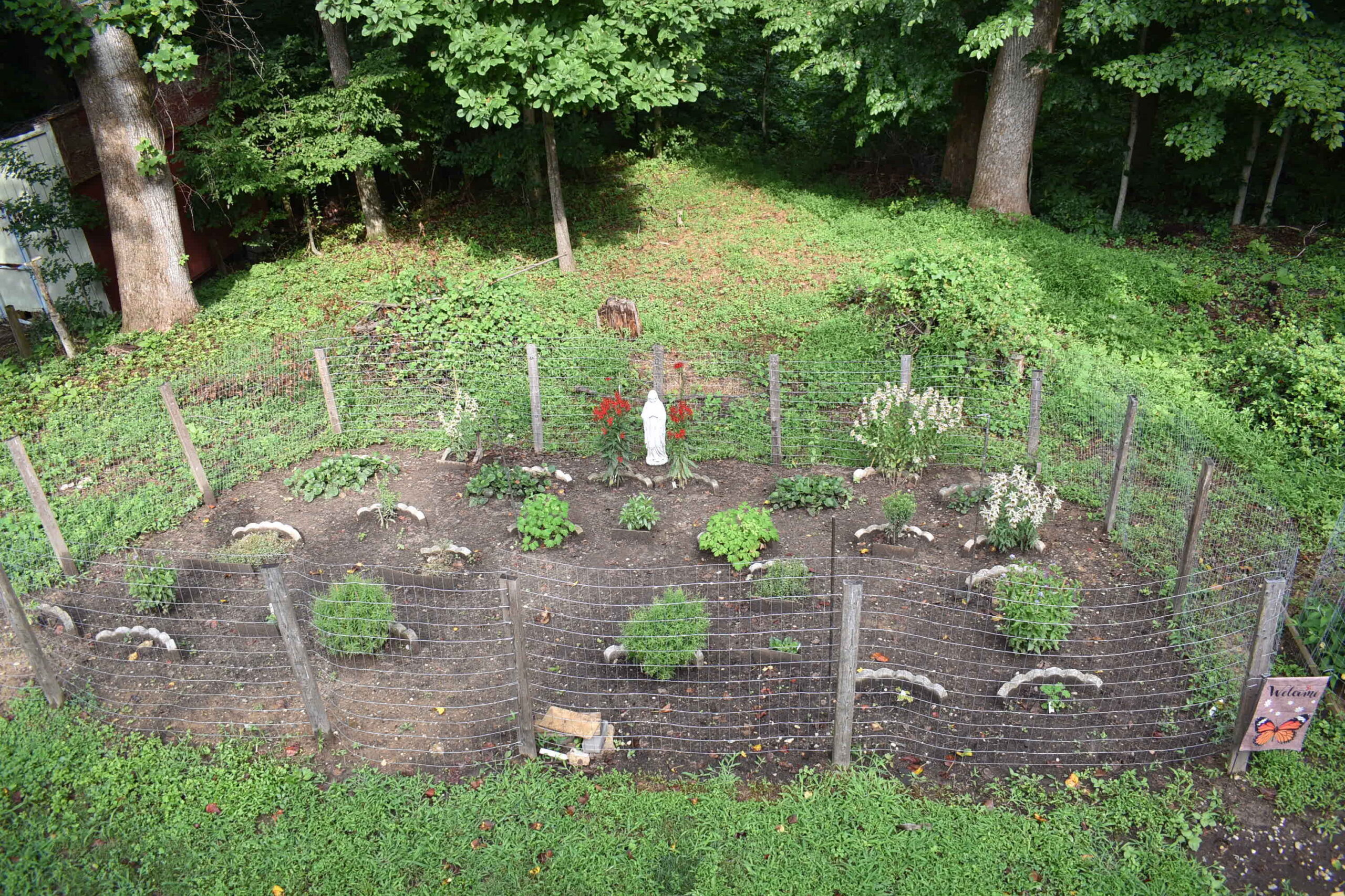 garden after