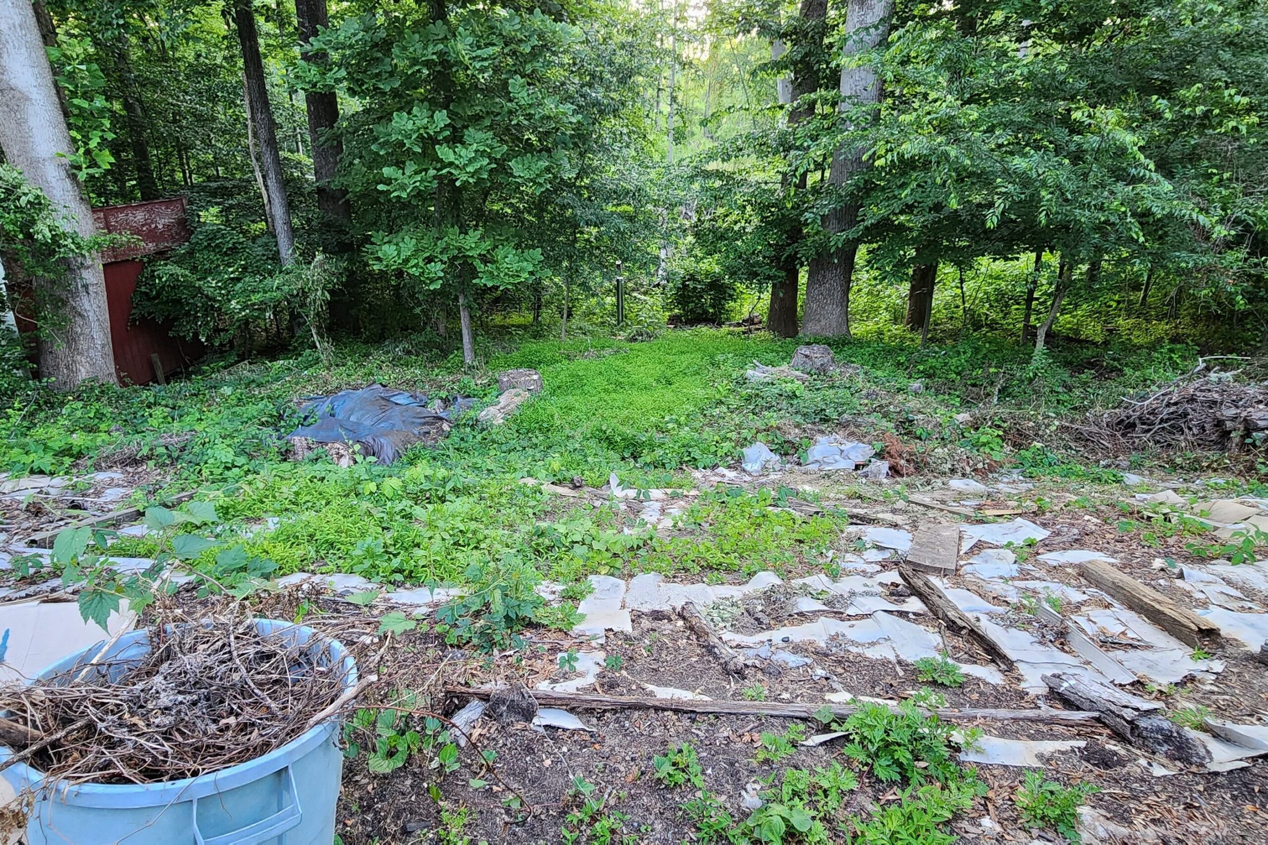 garden before