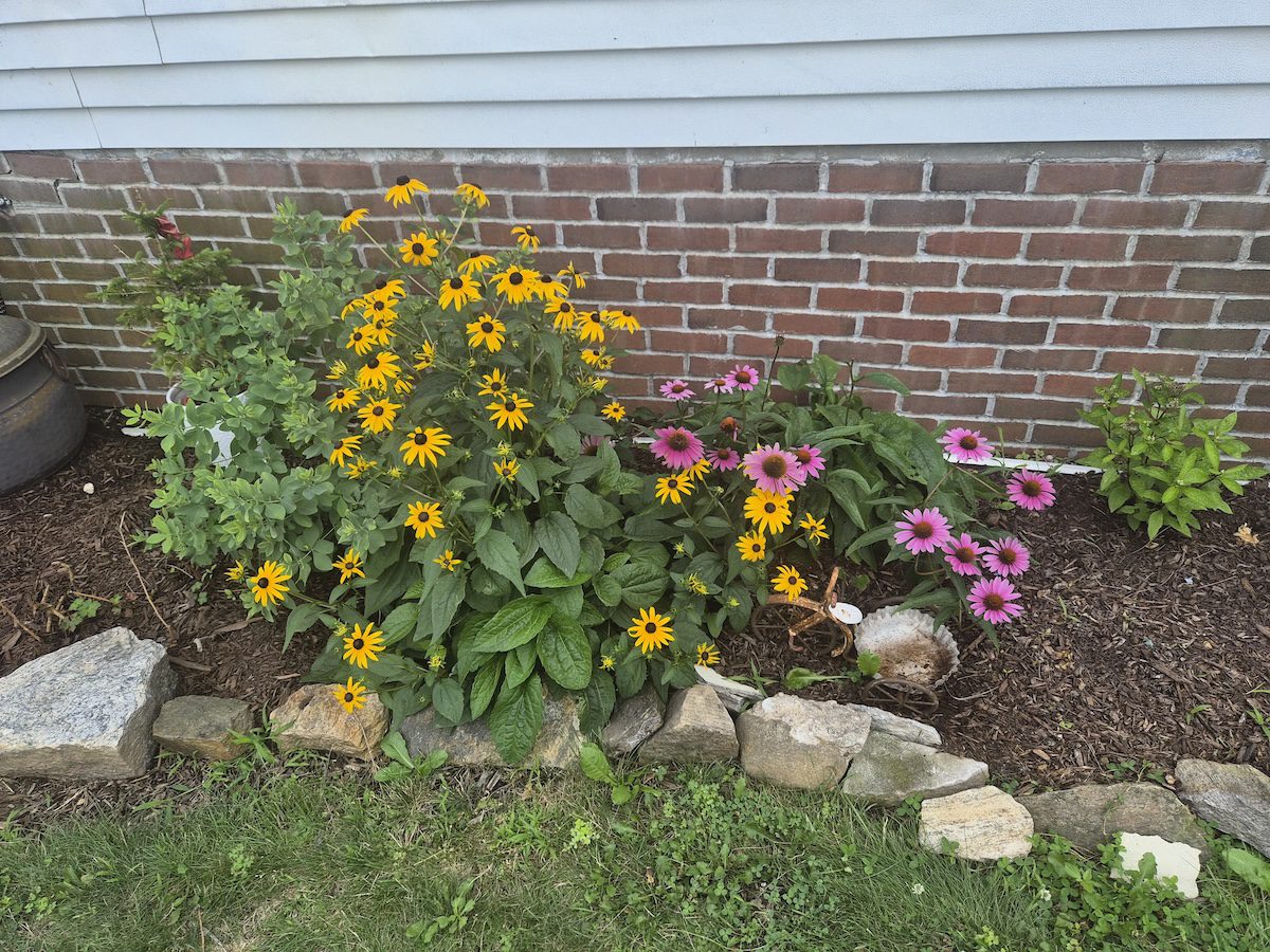 flowering side garden