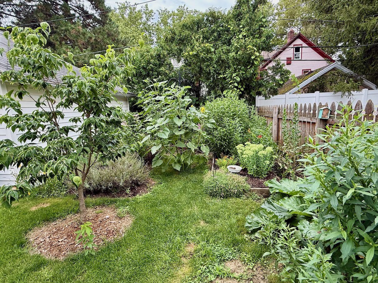 dense garden space