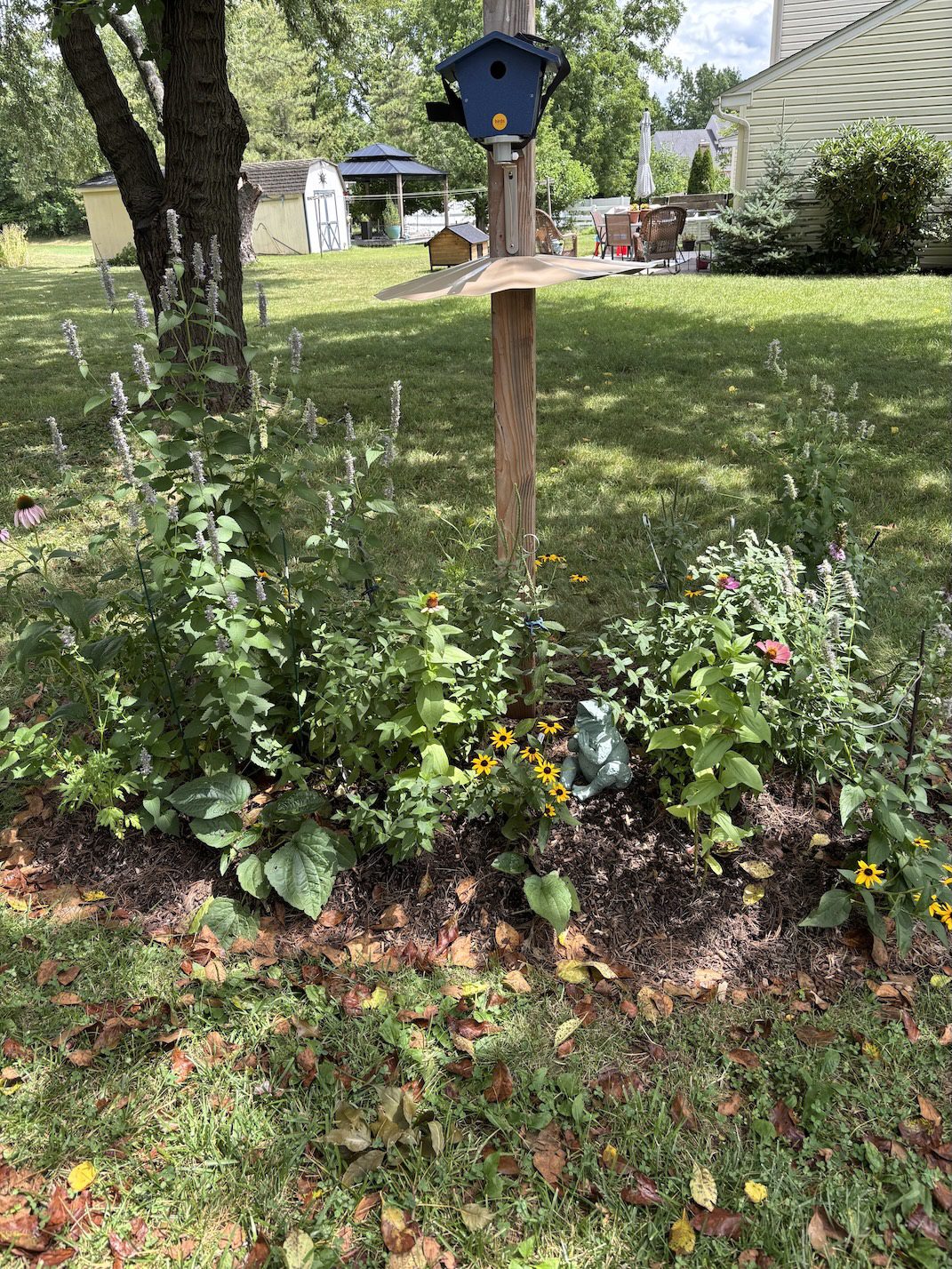 now nest box with lots of blooming plants