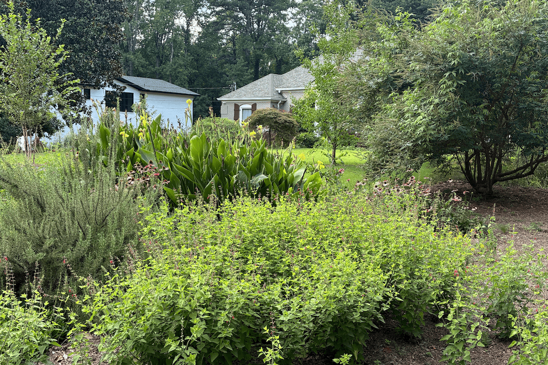 front yard transformed
