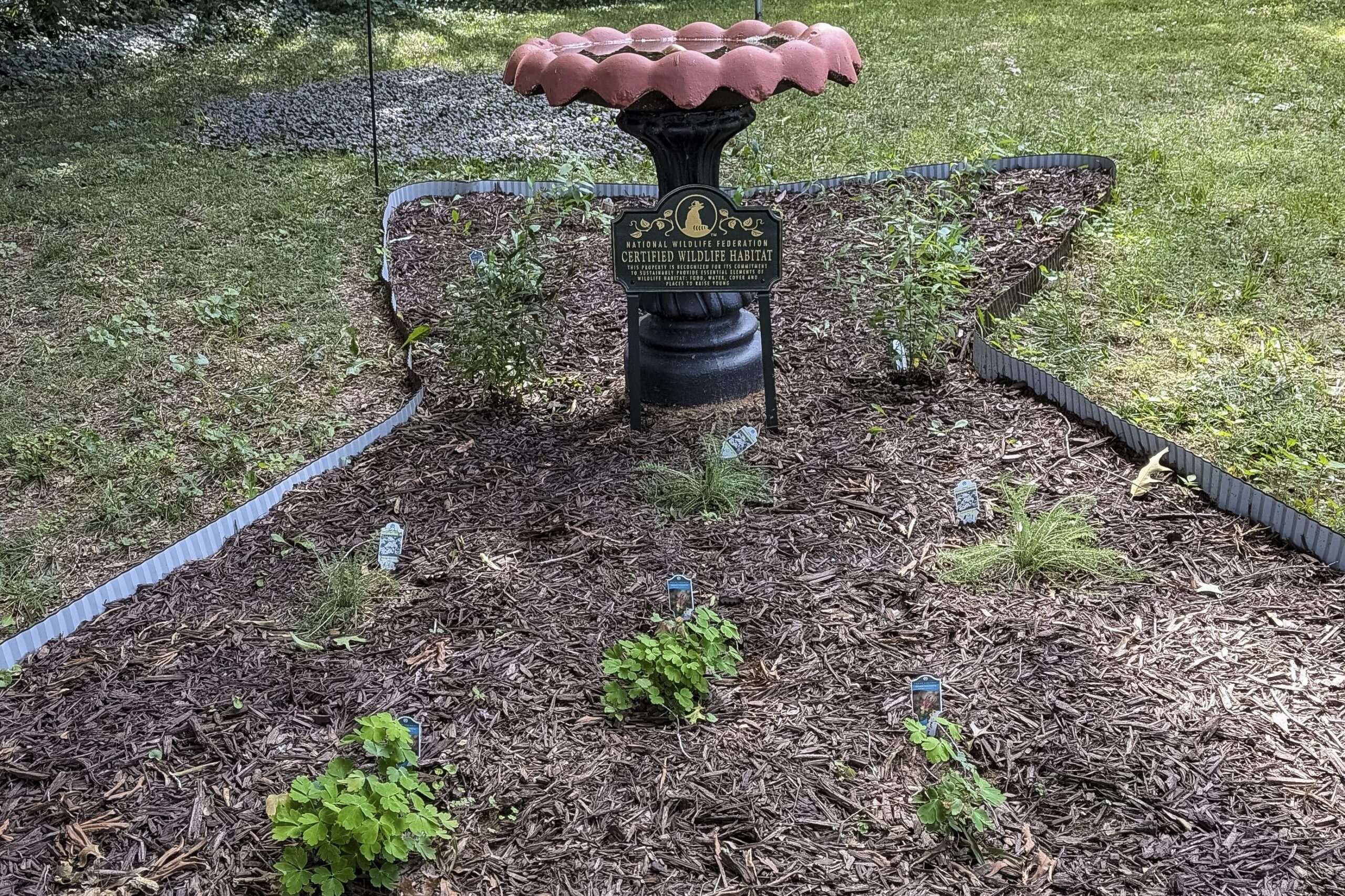 bird bath shade garden 2