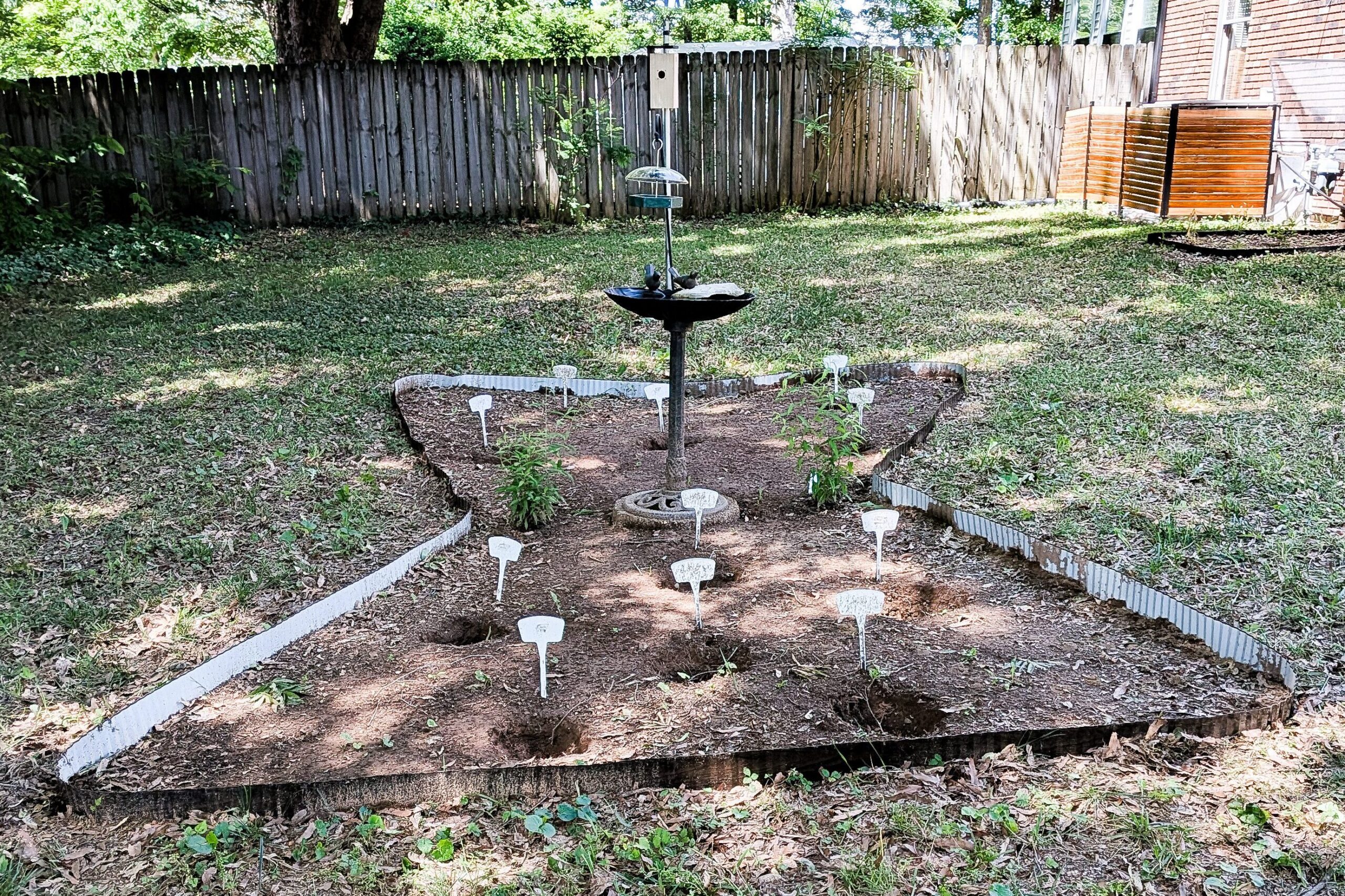 birdbath shade garden