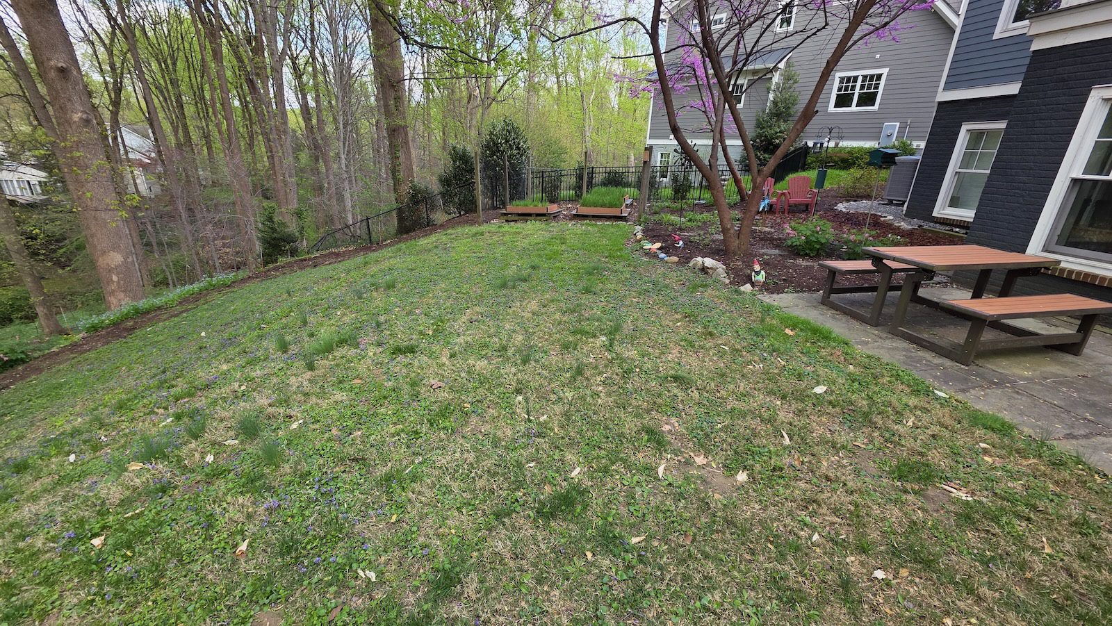 grass lawn