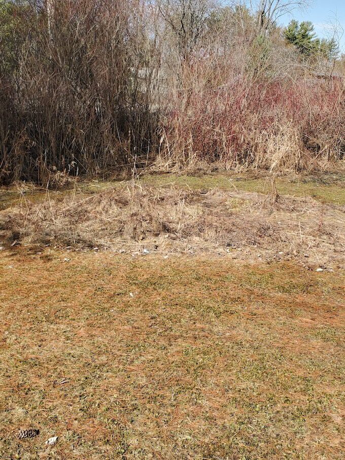 Garden that is not mowed.