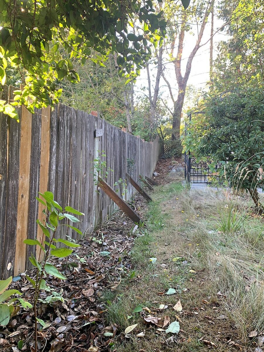 fence line with not much