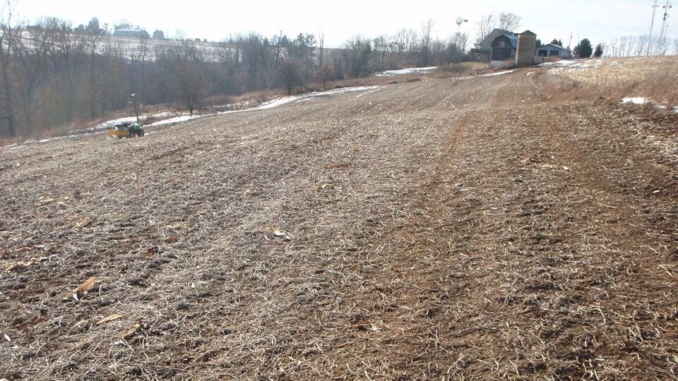 baren field